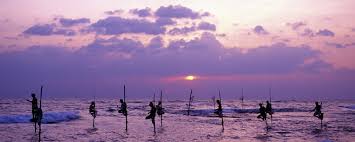 South Africa Tour Packages South Frica Holiday Packages from Delhi India